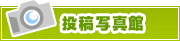 投稿写真館 | タウンガイド春日井